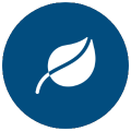 Cost Effective Icon